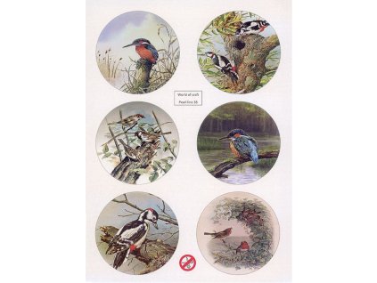 Stansvel Woc 38 copy 700x963