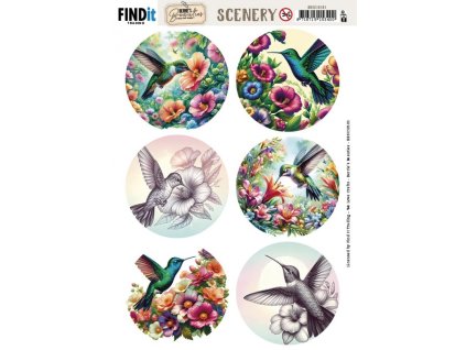 BBSC10101 Berries Beauties Scenery Colorful Hummingbirds Round 700x991