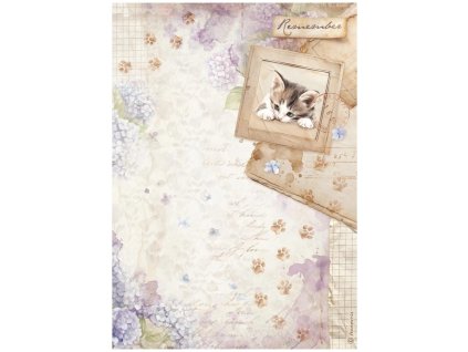 stamperia quiet days a4 rice paper kitten 6pcs dfs 36 11zon