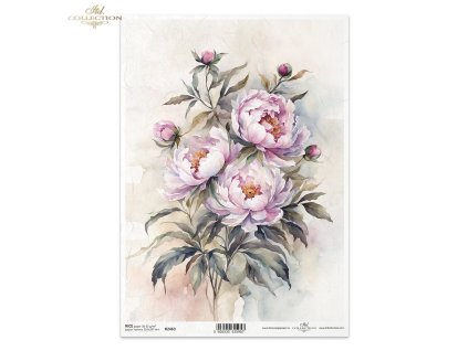 c80c51d94716019b9fd133b41e8bac3a