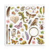 stamperia all around 12x12 inch paper pack single (8) 8 11zon