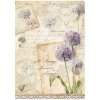 stamperia all around a4 rice paper selection 6pcs (6) 6 11zon