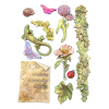 stamperia all around a5 silicon mould flowers and (2) 2 11zon
