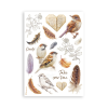 stamperia all around a5 washi pad 8pcs sbw33 (4) 4 11zon