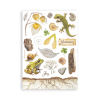 stamperia all around a5 washi pad 8pcs sbw33 (6) 6 11zon