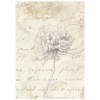 stamperia all around a6 rice paper backgrounds sel (4) 4 11zon