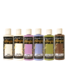stamperia all around allegro paint kit 6pcs kalkit 1 11zon