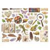stamperia all around die cuts assorted dfldc133