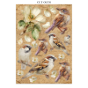 stamperia all around junk journal a5 focus points (6) 6 11zon