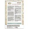 stamperia symphony clear stamp by sara alcobendas (1)