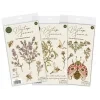 craft consortium vintage summer a6 clear photopoly (2)