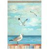 stamperia blue dream a4 rice paper seagulls 6 pcs