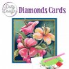 DDDC1130 Diamond Cards 520x520