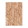stamperia woodland a6 rice paper backgrounds 8pcsk