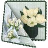 HJ240 AD TULIP DREAMS TJITSKE DUIFJES open copy 1 700x724