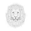 crafters companion royal jungle photopolymer stamp (1) 5 11zon