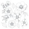 crafters companion flora fauna 6x6 inch foil trans (3)