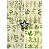 paper favourites kitchen herbs a5 paper pad pfa178 (2) 20 11zon