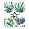 paper favourites herbs a6 paper pad pfa578 (2) 23 11zon