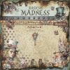 17464 33609 BELLALUNA MADNESS BASICOS COLLECTION 12X12