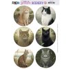 BBSC10011 Berries Beauties Scenery Cats Round copy 700x991