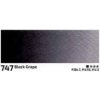 akvarelova barva rosa 2 5ml 747 black grape 27574