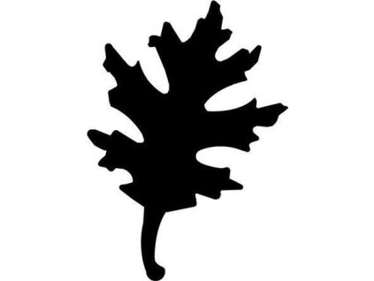 96E6C0A7 3679 4AB9 9C25 2DA84EBDF2E5 HRPLY386 1