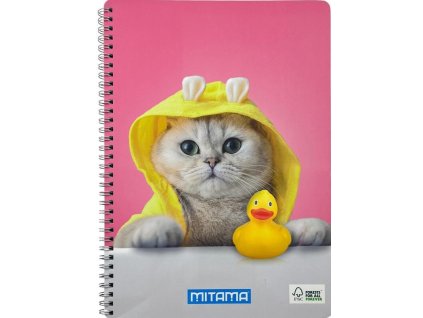 B2B228E0 DFBF 45AC A461 839012793F9D MT62620 90070