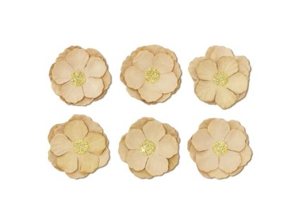 910 636 7cc55d35274a448989e37af879b5206f