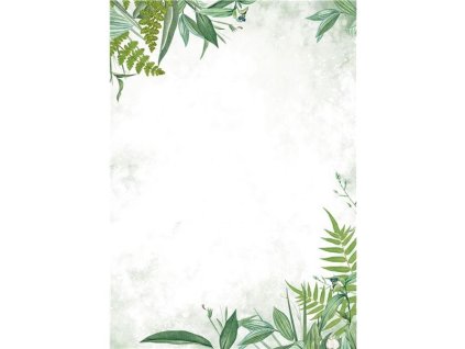 910 251 d39072e081744c2a859e56a2bc1e1187