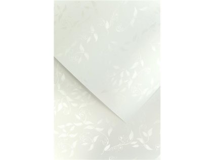 910 311 04c0c48e3a1d4549952c737e21fb6d5a