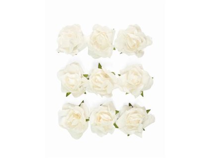 910 373 c96dae1ab3dc4672ad5a496e531e6816