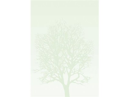 910 658 3a5d35d07d1b42d6afb532ba2149c9a1