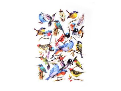 910 670 499bd4eaa8714926b0f5789792fefcab