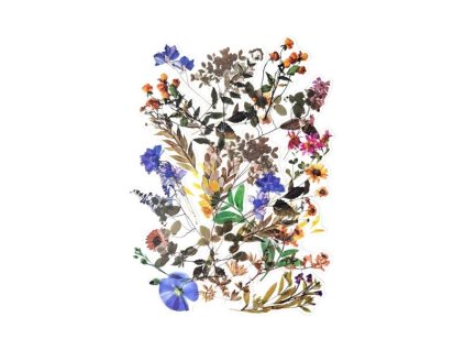 910 671 de3a72dceaa3499e950e90e9b37ae126