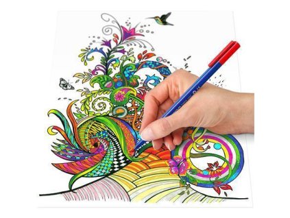 50C77963 4E58 40E2 B7F3 BACF4DB0AC8F TS323C40C 5