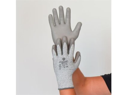 5DA16E8E 924D 403C 8071 87FAF1040154 MER085