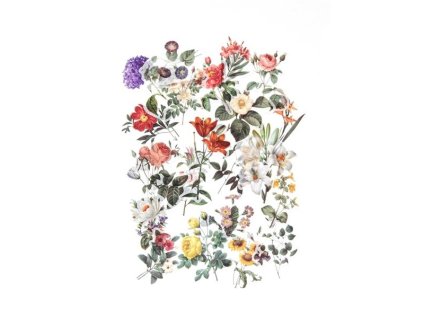 910 666 fb2593dc0659419c9eb53dd8a12e2f88