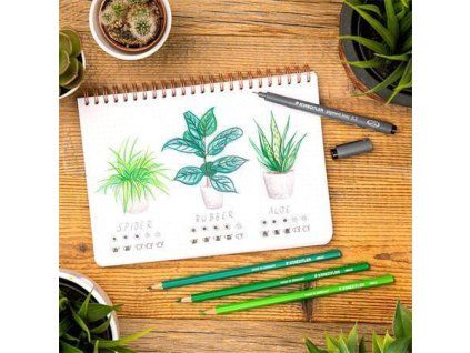 F4C2CBF5 E13F 4E2D B6D8 93BA8B6F53B1 TS308039 3