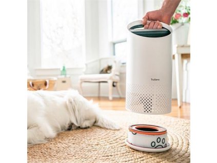 700AAAB6 DEA9 48C3 9CA4 C4E0D696AB32 E2415127 6