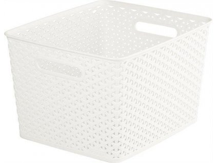 8F00EA71 183A 42DF 94EB 2E928AD7B0EE CSCMS5