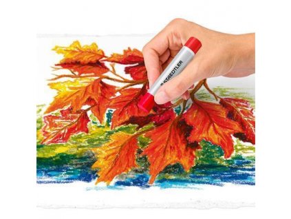 EABE61AF 42C8 4A9A BC39 67BFA1CB8D92 TS24020C12 2