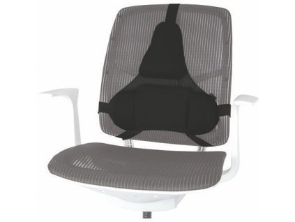 86FED1F6 F7BB 4D35 B9A7 731C60B165CF IFW80376