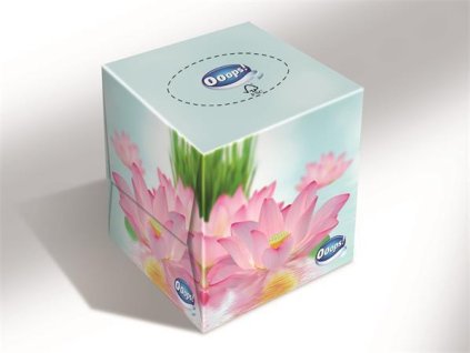 B3A4868D A9A0 4FE1 A046 D536902D2219 KHHVP042 7