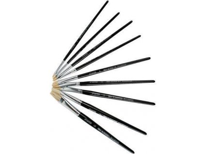 6C3C9AD5 854D 43E8 A1E8 516B4355A047 PLS220213