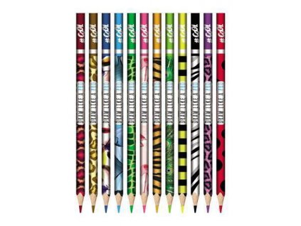 81567D59 BEE4 422F B000 335F5EDCF888 tvc003 1