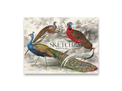 Skicák Shkolyaryk Muse sketch, A4+, 40l.