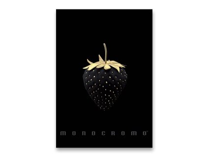 sešit A4 Pigna Monochromo Gold 40l. link