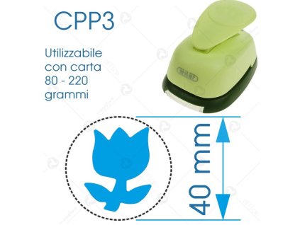 CPP314