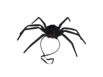Chlupatý černý pavouk na čelence